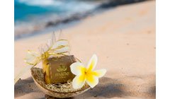 Coconut/Pineapple Soap Set